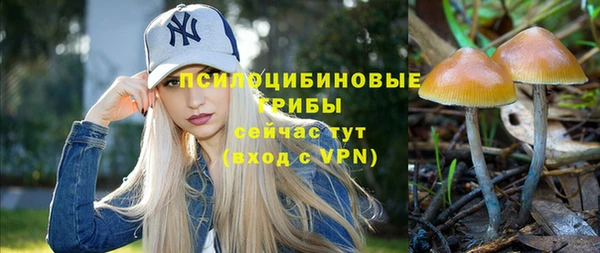 крисы Аркадак