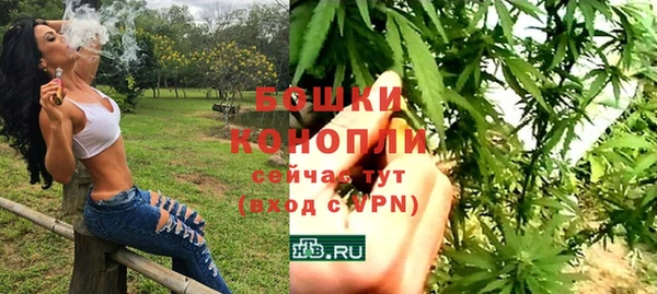 крисы Аркадак